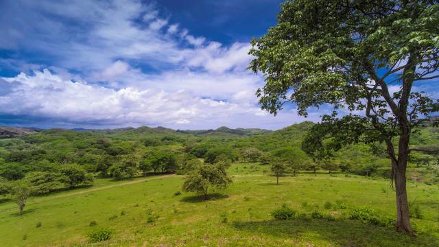 Vaste finca à vendre au Costa Rica, agrémentée d'un ruisseau et de jolies vues sur les collines...