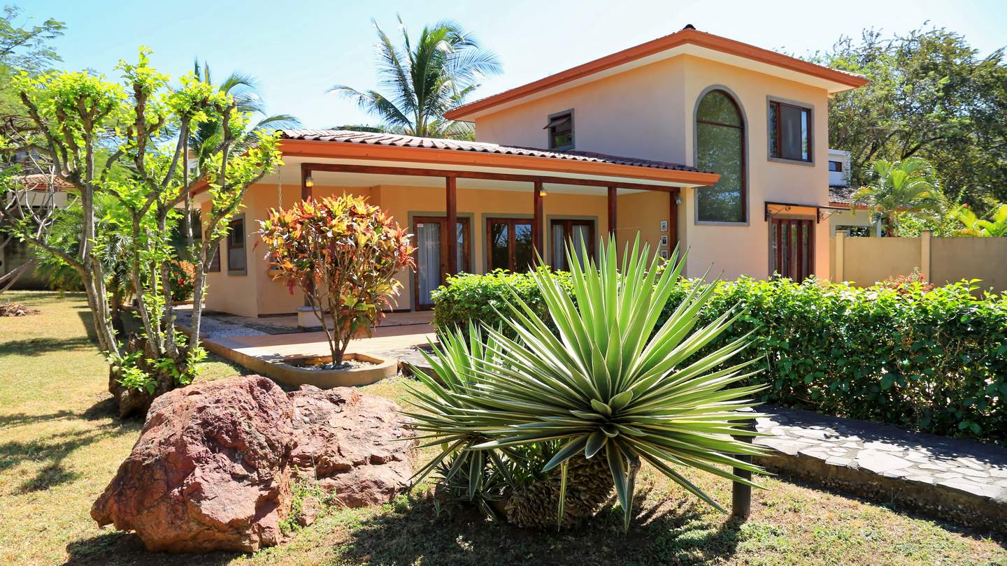 819-Gros plan sur le jardin tropical situé à lavant