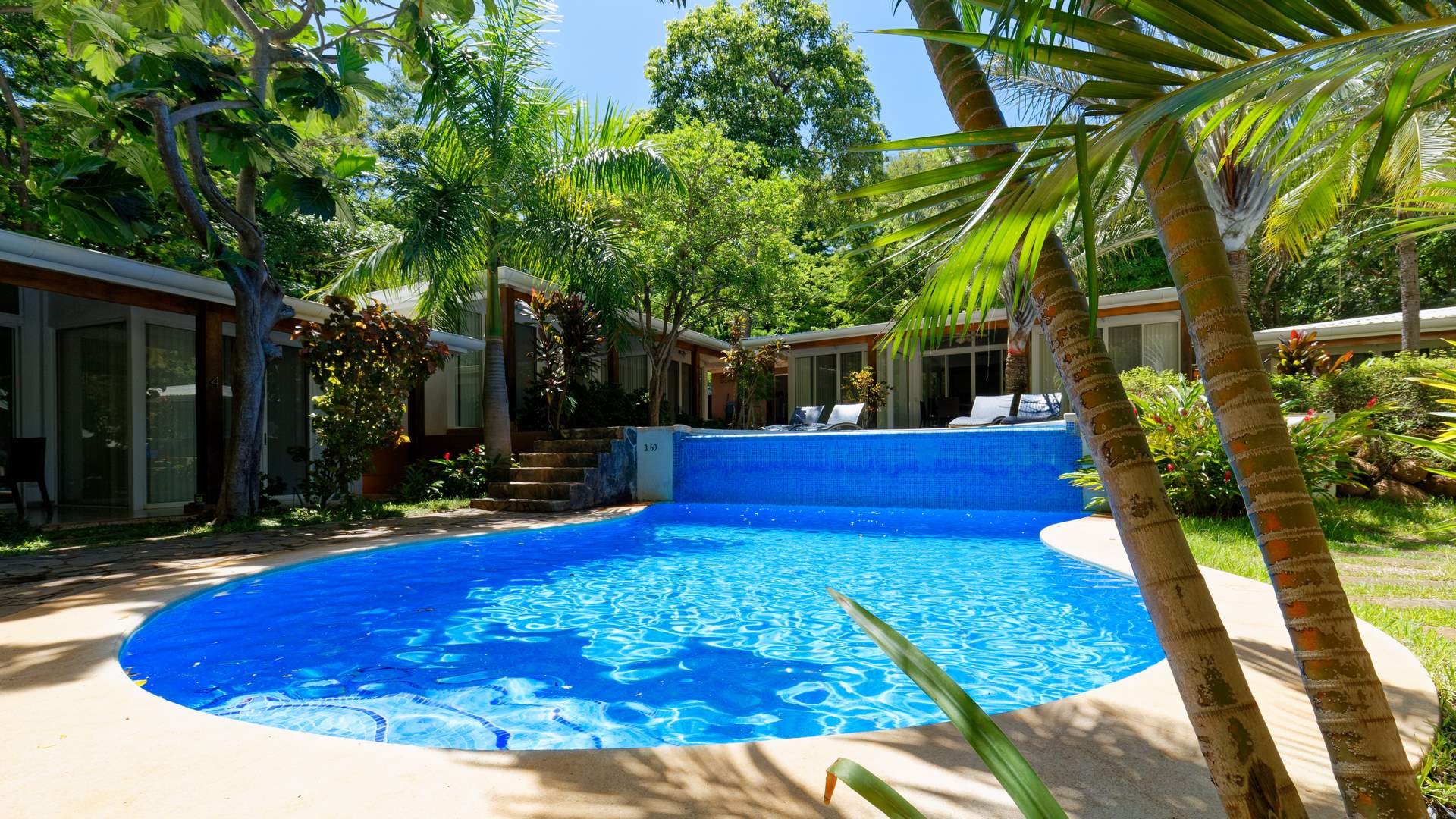 Commerces / Business à vendre, 1