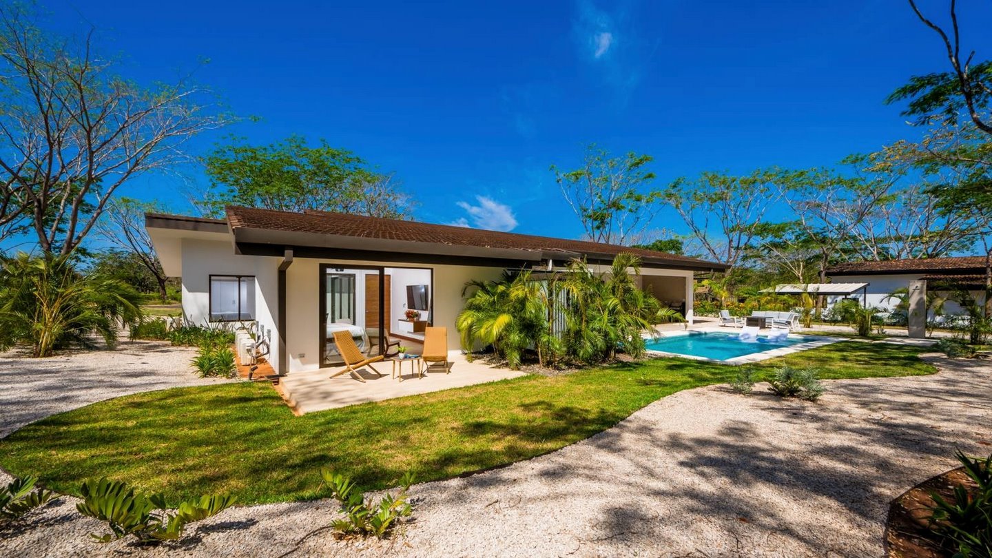 9951-Vue du jardin et de la piscine