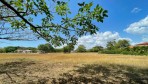 10334-La vue du bout du terrain