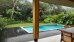 12279-Le jardin et la piscine