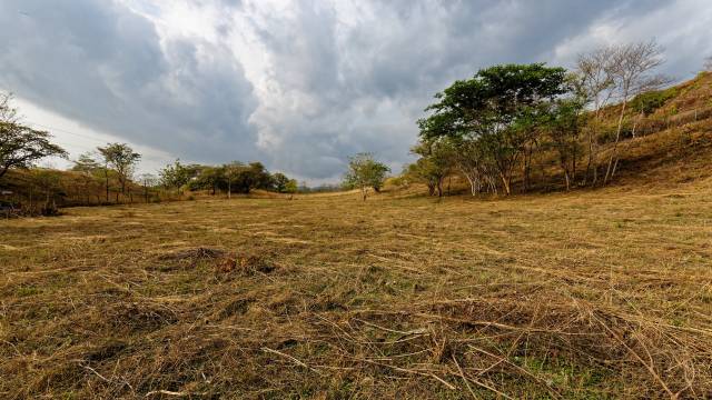 A mi-chemin entre Huacas et Tamarindo, terrain à vendre de 1 hectare !