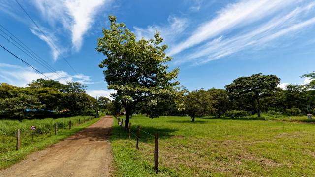 Grand terrain plat en vente à 5 minutes de Tamarindo.