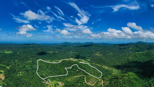 Dans le Guanacaste, finca à vendre s'étendant sur 32 ha et comprenant du teck...