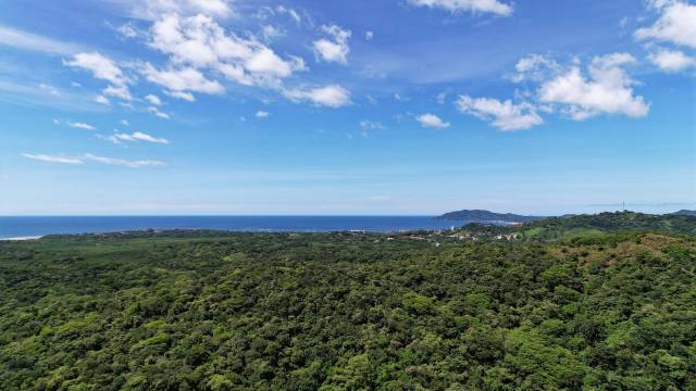 A Tamarindo, finca avec très jolie vue mer en vente au cœur d'un agréable paysage vallonné.