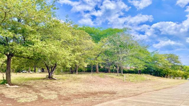 Terrain en vente dans le vaste domaine d'Hacienda Pinilla.